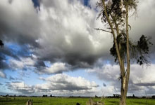 15球，费兰-托雷斯替补登场进球数位列巴萨队史第三.