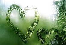 [高尔夫]波多黎各公开赛第一轮罗伊62杆领先 袁也淳T51.