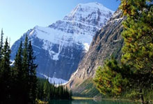 图片报：若特狮伤愈后找不回最佳状态，诺伊尔可能参加世界杯.